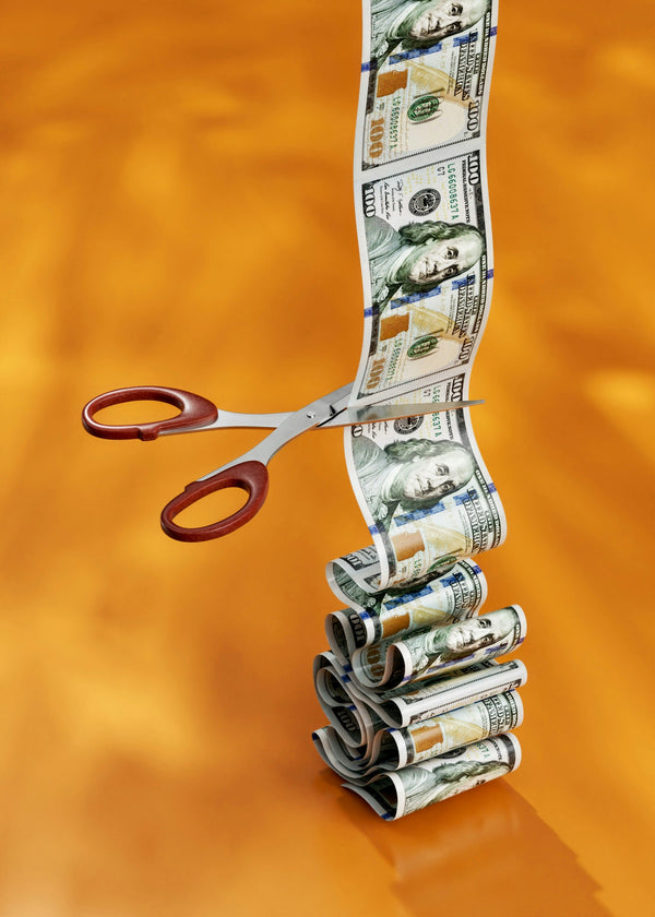 One Income, One Plan - money workbook for single parents