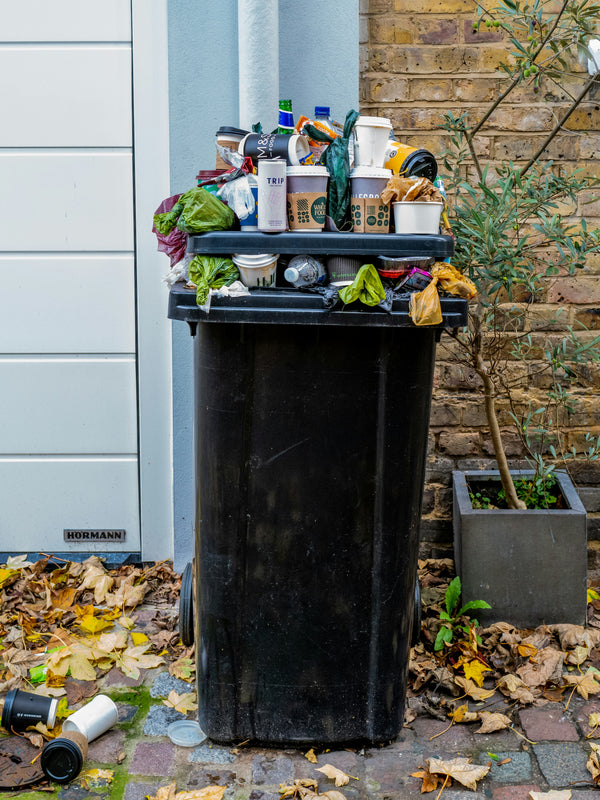The Low-Waste Family - PDF workbook for cutting household waste with kids